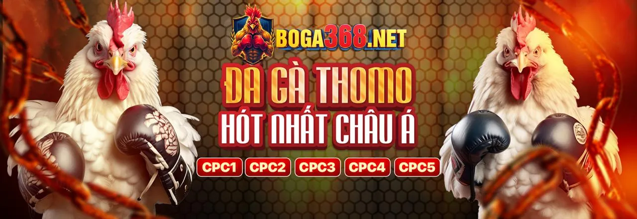 Ứng dụng Loto66 trên điện thoại di động