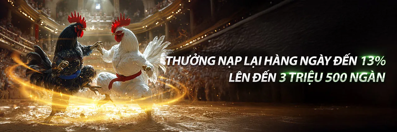 Đá gà trực tuyến kịch tính tại Loto66