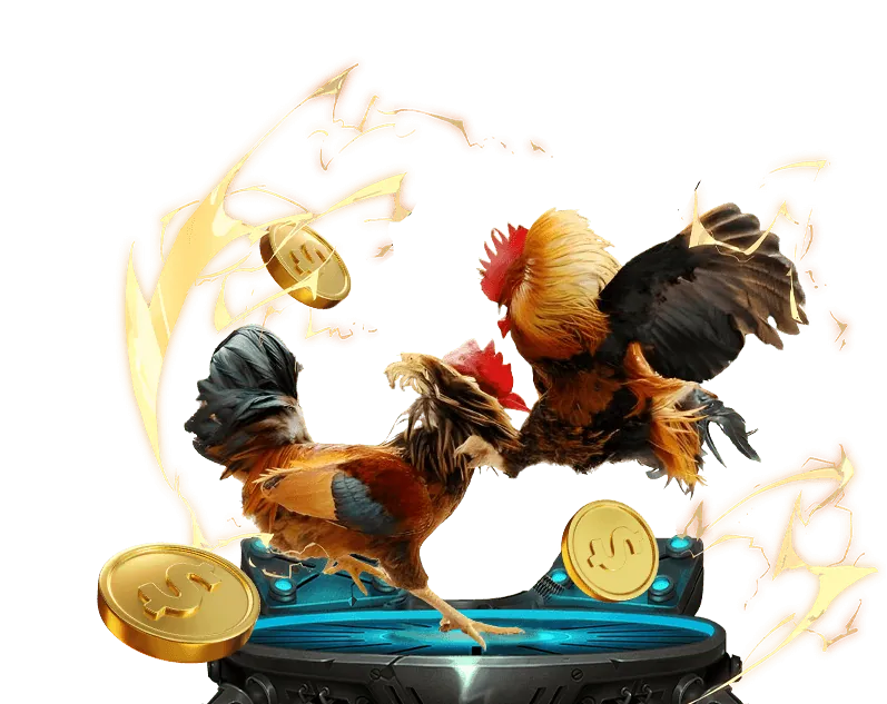 Quà tặng sinh nhật và sự kiện đặc biệt